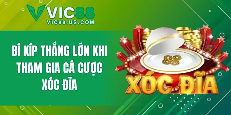 Bí kíp thắng lớn khi tham gia cá cược xóc đĩa