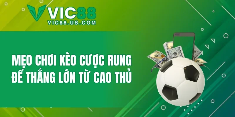 Mẹo chơi kèo cược rung để thắng lớn từ cao thủ